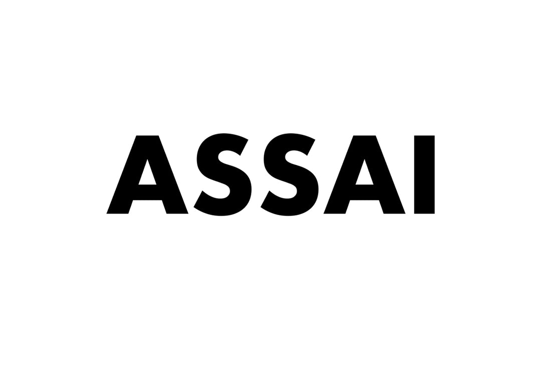 ASSAI 進行中